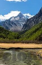 传奇召唤师九游版下载-传奇召唤师九游版下载攻略