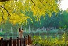 足球球探网比分直播-足球球探网比分直播，球迷的实时战场与战术解码器